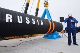 WTO cảnh báo căng thẳng Nga-Ukraine “giáng một đòn mạnh” vào nền kinh tế toàn cầu 