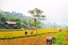 Ghé bản Nà Ràng khói sương
