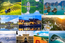 Hội chợ Du lịch Quốc tế sẽ diễn ra vào tháng 11 sau nhiều lần trì hoãn vì Covid-19