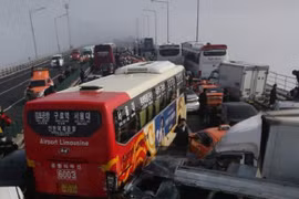 2 người Việt bị thương trong vụ đâm xe liên hoàn ở Hàn Quốc 