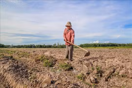 Tín dụng với người hoàn lương: Điểm tựa tái hòa nhập cộng đồng