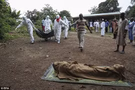 WHO thừa nhận thiếu sót khi xử lý cuộc khủng hoảng đại dịch Ebola