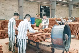 Bài 8: Giúp phạm nhân biết trân quý lao động