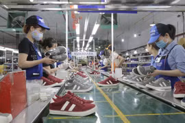 Hà Nội đấu giá thành công 6,38 triệu cổ phiếu Giày Thượng Đình, giá cao gấp 10 lần giá khởi điểm