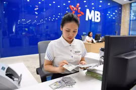 Tỷ giá USD đồng loạt giảm