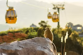 Bà Nà Hills đón 2 triệu lượt khách tham quan
