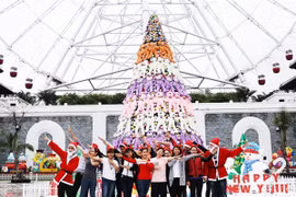 Đón giáng sinh với cây thông gấu bông lớn nhất Việt Nam tại Asia Park