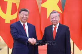 Tổng Bí thư Tô Lâm hội đàm với Tổng Bí thư, Chủ tịch nước Trung Quốc Tập Cận Bình 