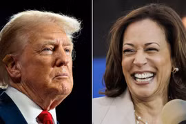 Đảng Dân chủ bỏ phiếu đề cử bà Harris, tài sản của ông Trump giảm 900 triệu USD