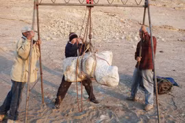 Phát hiện loài động vật nặng nhất từng tồn tại trên Trái đất