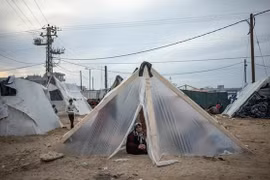 Tổng giám đốc WHO: Hệ thống y tế của Dải Gaza đang sụp đổ