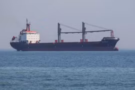 Việt Nam đảm bảo an ninh lương thực trước diễn biến mới trên Biển Đen