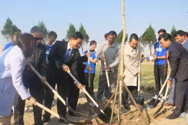Uống chai sành, trồng cây xanh”