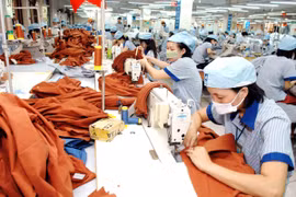 Kim ngạch xuất khẩu giảm mạnh