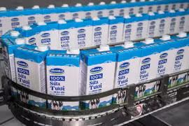 Cởi "tấm áo hẹp" DNNN: Vinamilk thành doanh nghiệp tỷ đô la