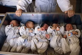 “Động trời”, nhà hộ sinh “tiếp tay” cho đường dây mua bán trẻ sơ sinh
