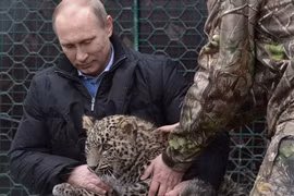 Tổng thống V.Putin nhận giải “cha đẻ” súng trường AK
