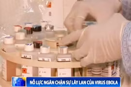 Virus Ebola đang lây lan mạnh ở Tây Phi