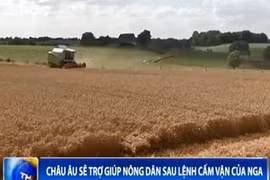 Châu Âu sẽ trợ giúp nông dân sau lệnh cấm vận của Nga