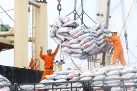Kinh tế Việt Nam phục hồi từ mức đáy