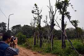 Nào ta cùng đọc báo