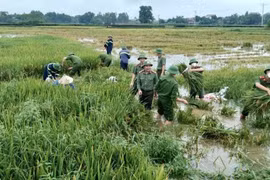 55 năm thực hiện tốt vai trò vận động nhân dân bảo vệ an ninh Tổ quốc 