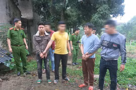 Trộm cắp 5 con trâu đi bán lấy tiền ăn tiêu