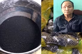 Bắt quả tang đối tượng tàng trữ 17kg thuốc nổ và đạn súng tự chế