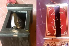 Nhóm “trộm nhí” gây ra hàng loạt vụ trộm tiền công đức sa lưới