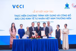 Báo cáo Kinh tế tư nhân Việt Nam thường niên: Cách nhìn mới về kinh tế tư nhân Việt Nam