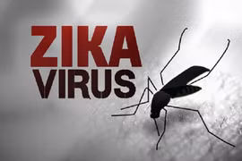 Mỹ thử nghiệm vaccine phòng virus Zika trên người
