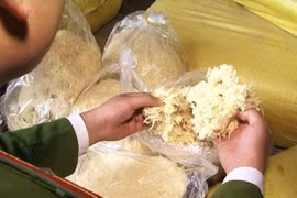 Bắt quả tang vụ vận chuyển 1 tấn ruốc làm từ sắn dây