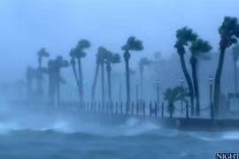Gần 900 người đã thiệt mạng vì bão Matthew