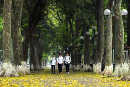 Những chuyện ngẫu nhiên ở mùa Thu