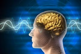 Những cách tăng cường trí não
