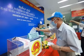 Dư luận quốc tế đánh giá cao công tác bầu cử dân chủ, minh bạch đáng ngưỡng mộ của Việt Nam