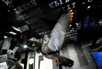 Những hiện vật cực ‘dị’ bên trong bảo tàng bí mật của CIA