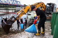 Bí ẩn vụ cá chết trắng sông ở biên giới Đức - Ba Lan