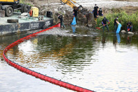 Bí ẩn vụ cá chết trắng sông ở biên giới Đức - Ba Lan