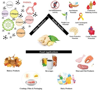 Những đồ uống tăng cường giải độc gan tốt cho sức khỏe