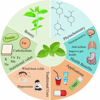 Những đồ uống tăng cường giải độc gan tốt cho sức khỏe