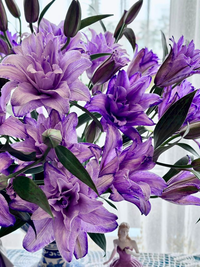 Bất ngờ trước vẻ đẹp độc đáo của loài hoa hạnh phúc, sum vầy