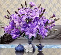 Bất ngờ trước vẻ đẹp độc đáo của loài hoa hạnh phúc, sum vầy