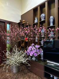 Bất ngờ trước vẻ đẹp độc đáo của loài hoa hạnh phúc, sum vầy