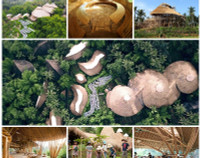 Ngôi trường biểu tượng của giáo dục xanh ở Đông Nam Á 