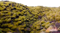 Dòng nham thạch có một không hai của Iceland