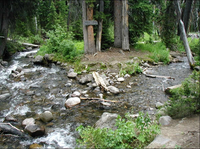  Con sông nhỏ duy nhất trên thế giới chảy theo hai hướng 