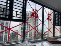 Những cách tránh siêu bão Yagi độc đáo