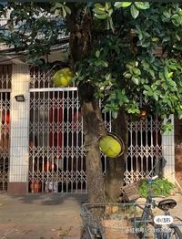 Những cách tránh siêu bão Yagi độc đáo