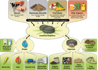 Nhà máy sản xuất 30.000 tấn hydro mỗi năm từ rác thải 